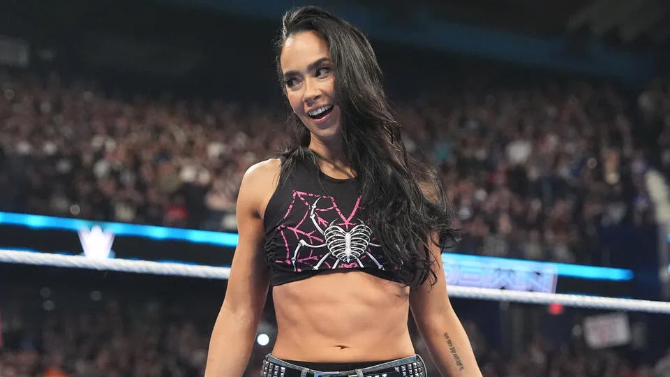 AJ Lee aj lee smackdown