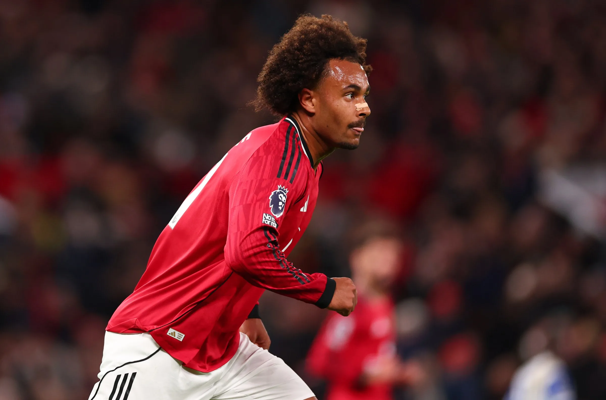Roma’s Move for Zirkzee Stalls After Amorim’s Man United Sacking 1 gettyimages 2242953520